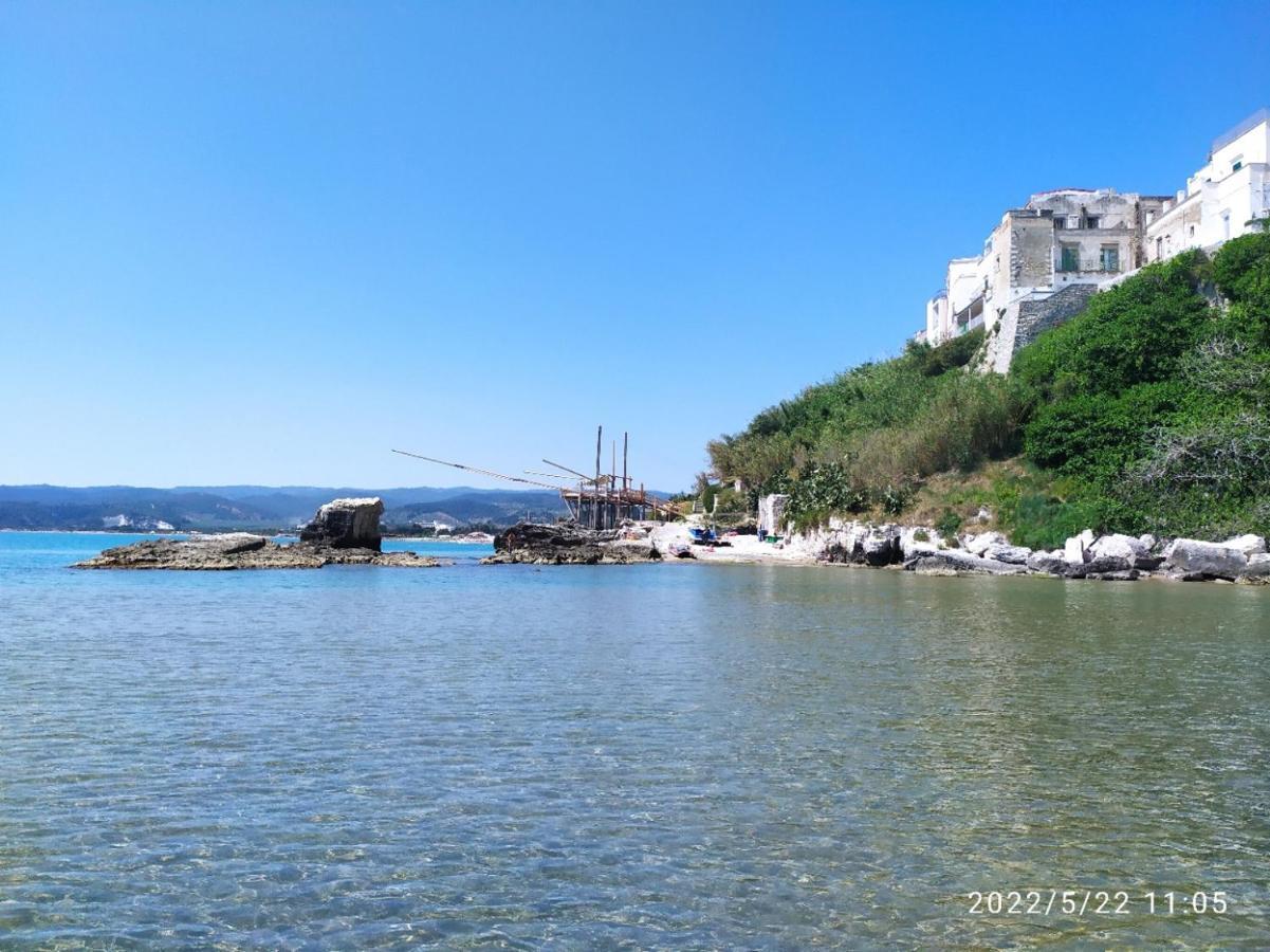 Casina Viestana Villa Vieste Bagian luar foto